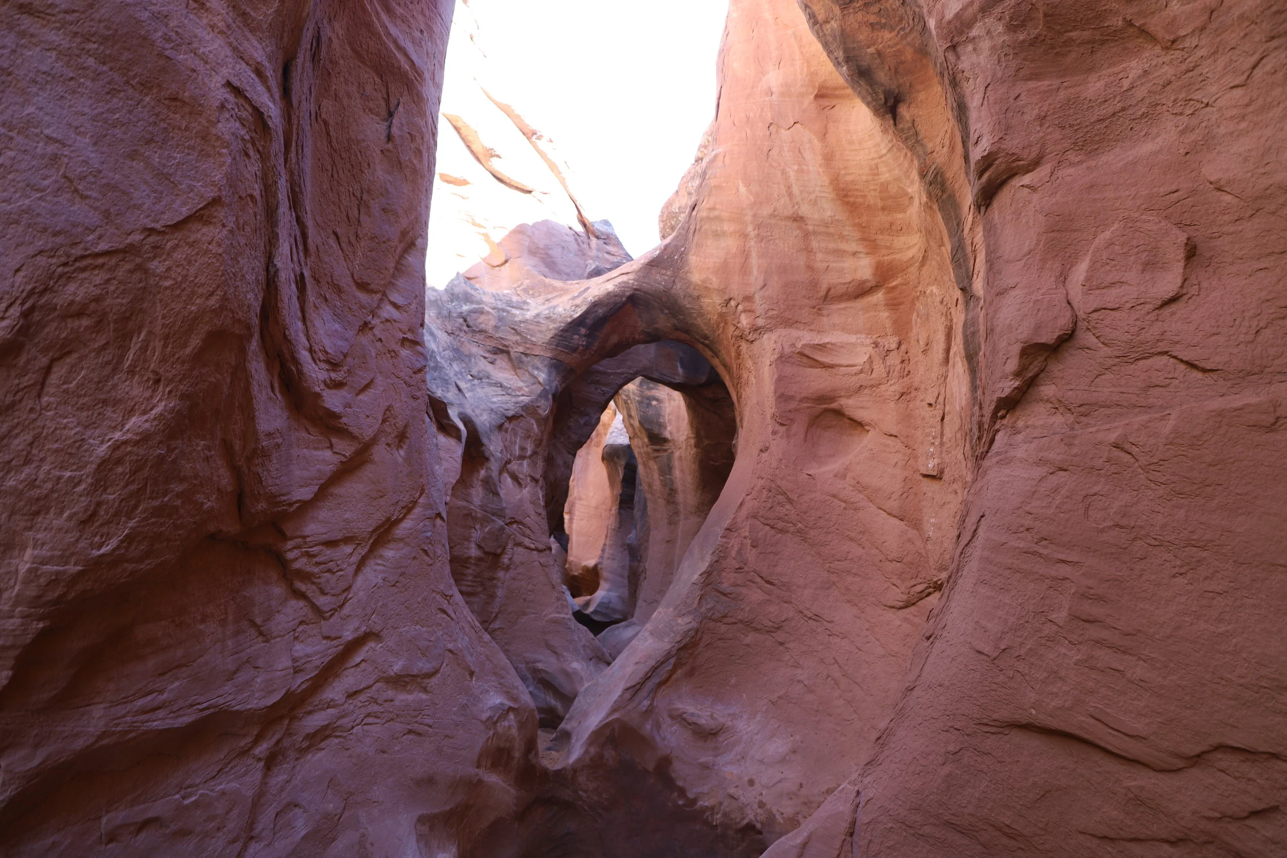 Easy hikes in top grand staircase escalante